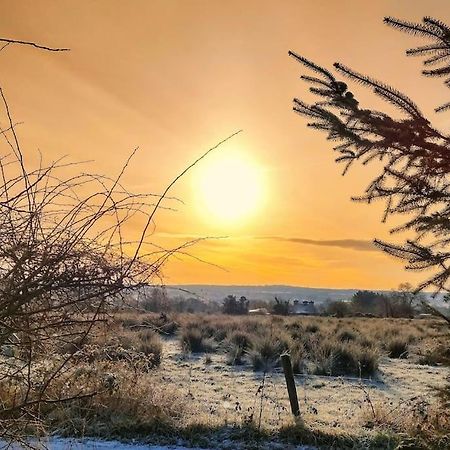 Forest View Cabin Ballaghaderreen ภายนอก รูปภาพ