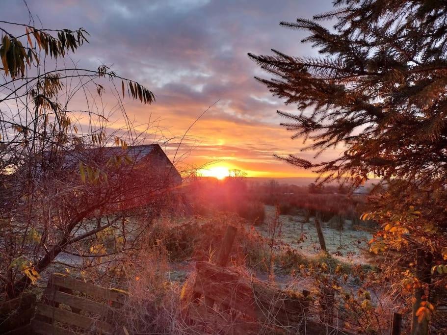Forest View Cabin Ballaghaderreen ภายนอก รูปภาพ