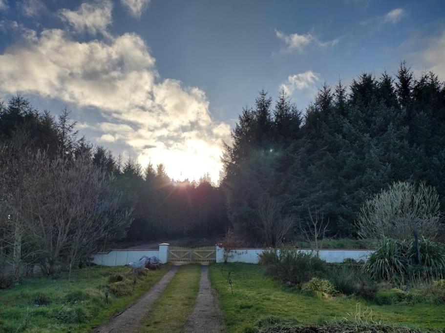 Forest View Cabin Ballaghaderreen ภายนอก รูปภาพ
