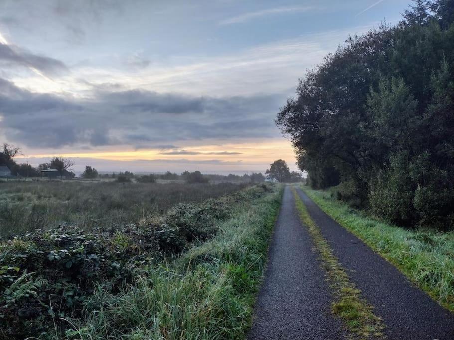 Forest View Cabin Ballaghaderreen ภายนอก รูปภาพ
