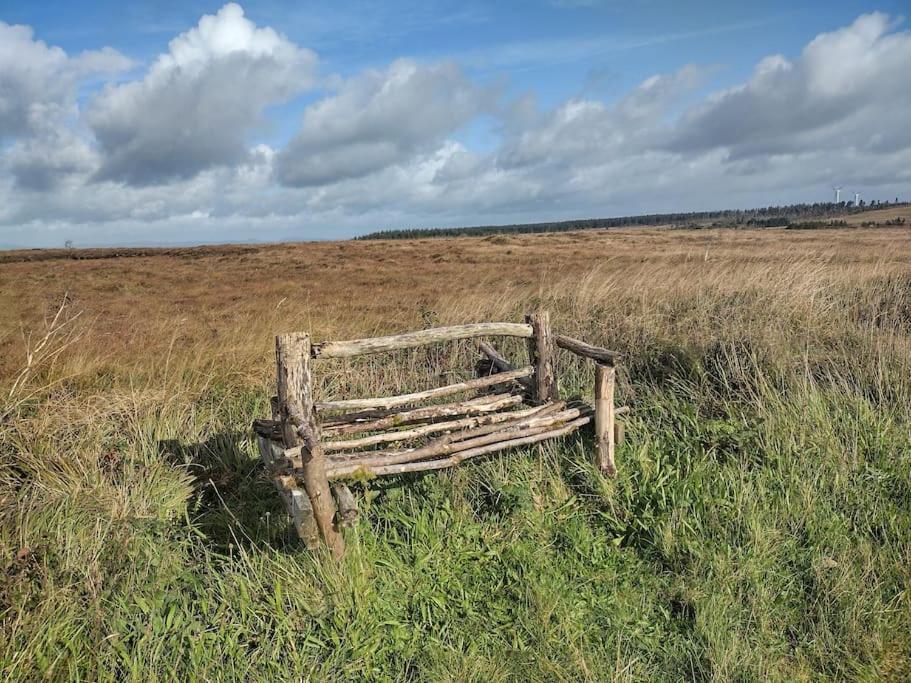 Forest View Cabin Ballaghaderreen ภายนอก รูปภาพ